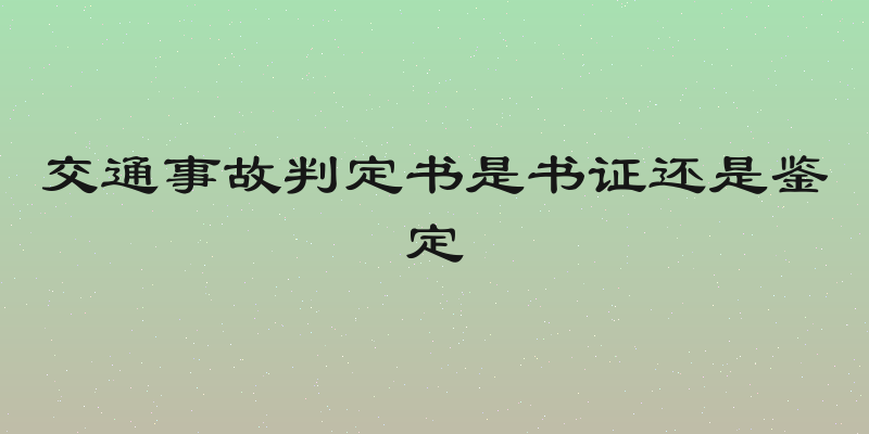 交通事故判定书是书证还是鉴定