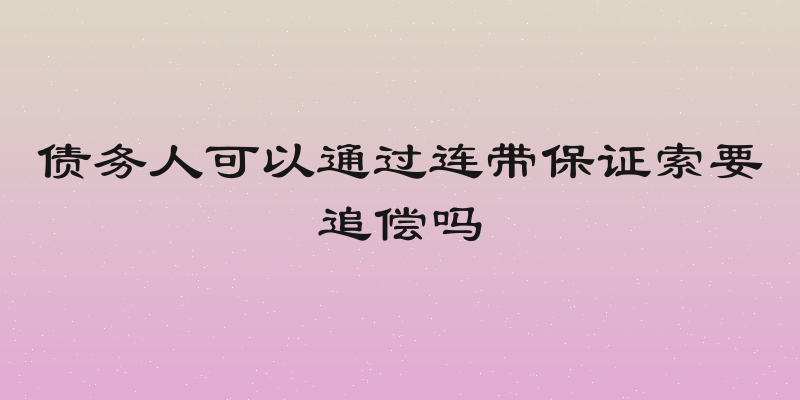 债务人可以通过连带保证索要追偿吗