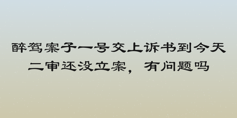 醉驾案子一号交上诉书到今天二审还没立案，有问题吗
