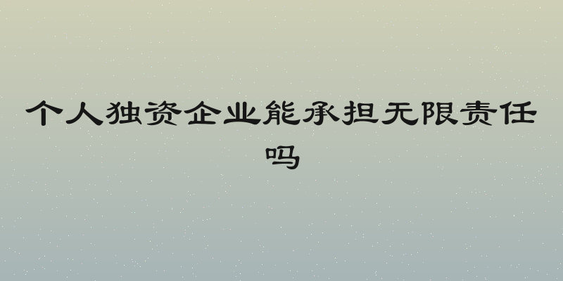 个人独资企业能承担无限责任吗