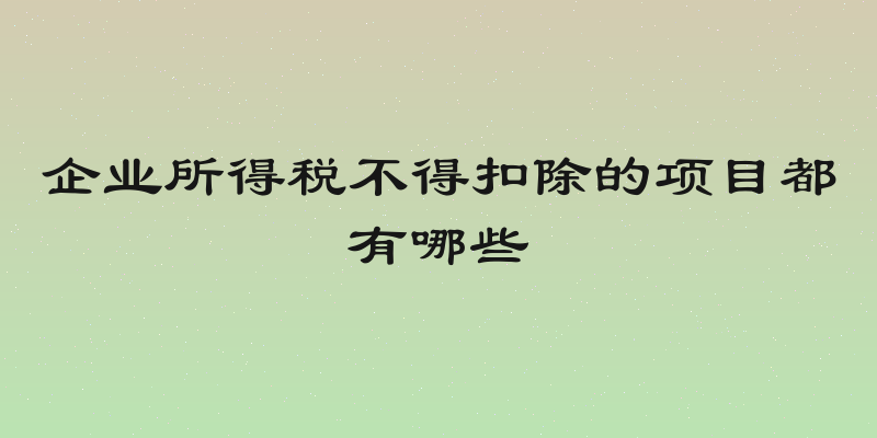 企业所得税不得扣除的项目都有哪些