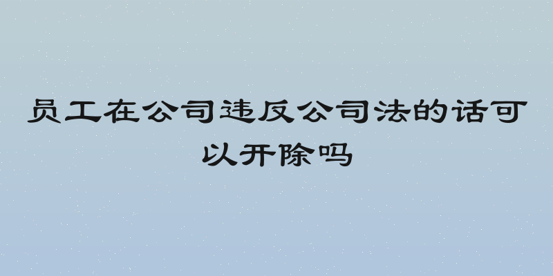 员工在公司违反公司法的话可以开除吗