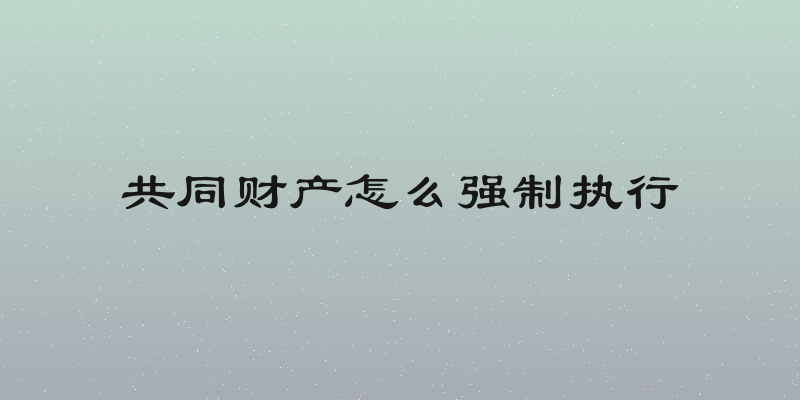 共同财产怎么强制执行