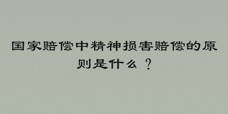 国家赔偿中精神损害赔偿的原则是什么？