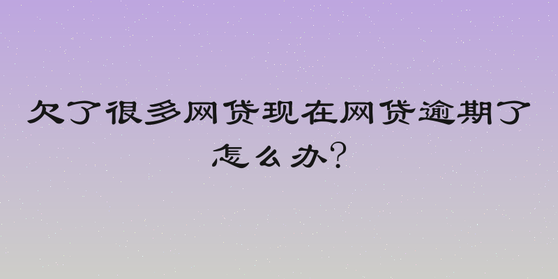 欠了很多网贷现在网贷逾期了怎么办?