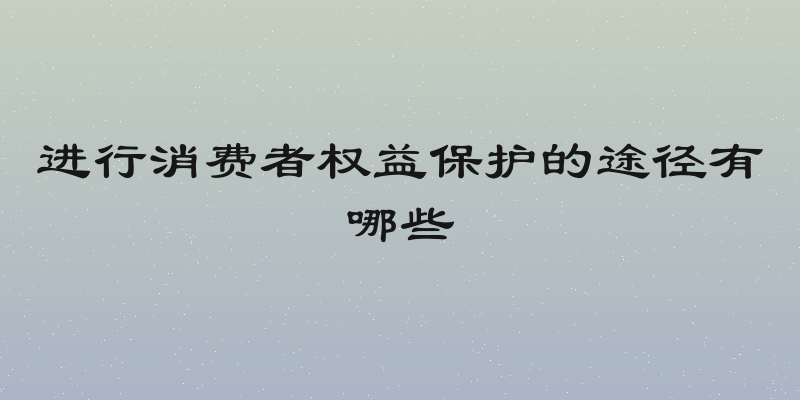 进行消费者权益保护的途径有哪些