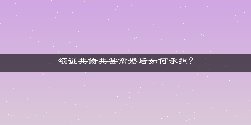领证共债共签离婚后如何承担?
