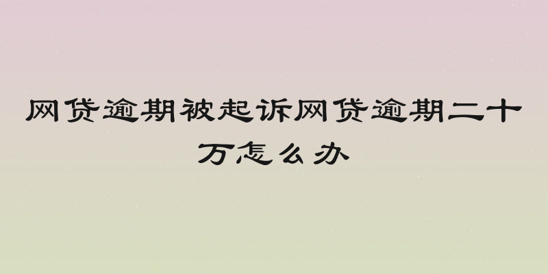 网贷逾期被起诉网贷逾期二十万怎么办