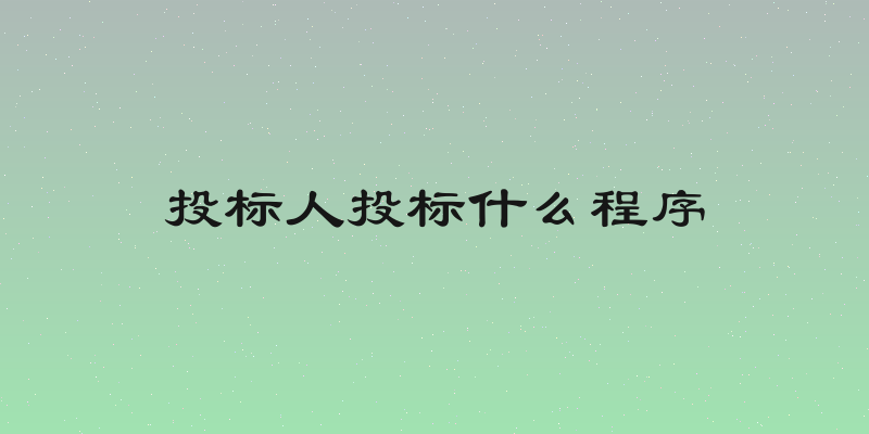 投标人投标什么程序