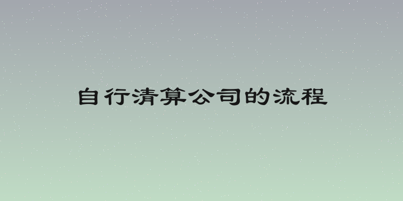 自行清算公司的流程