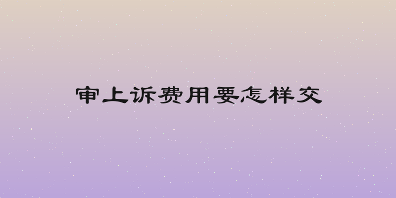 审上诉费用要怎样交