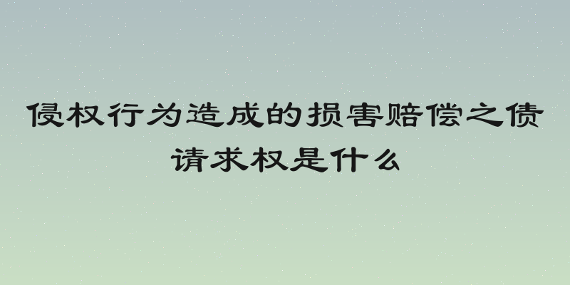 侵权行为造成的损害赔偿之债请求权是什么