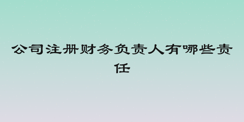 公司注册财务负责人有哪些责任