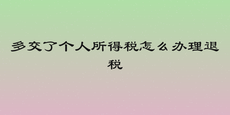 多交了个人所得税怎么办理退税