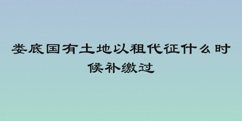 娄底国有土地以租代征什么时候补缴过