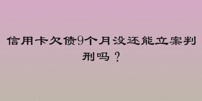 信用卡欠债9个月没还能立案判刑吗？