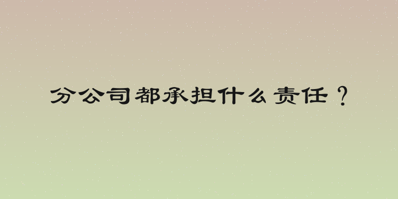 分公司都承担什么责任？