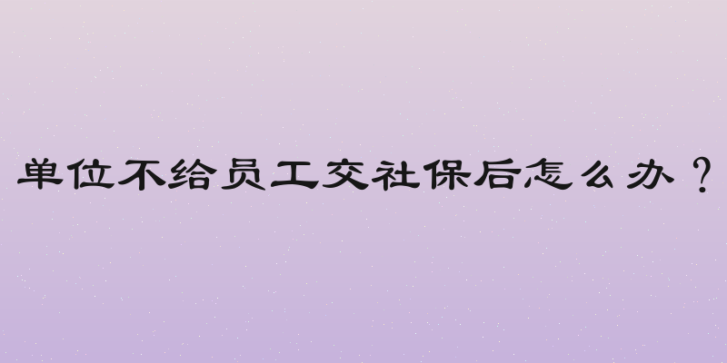 单位不给员工交社保后怎么办？