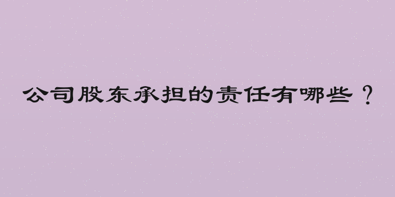 公司股东承担的责任有哪些？