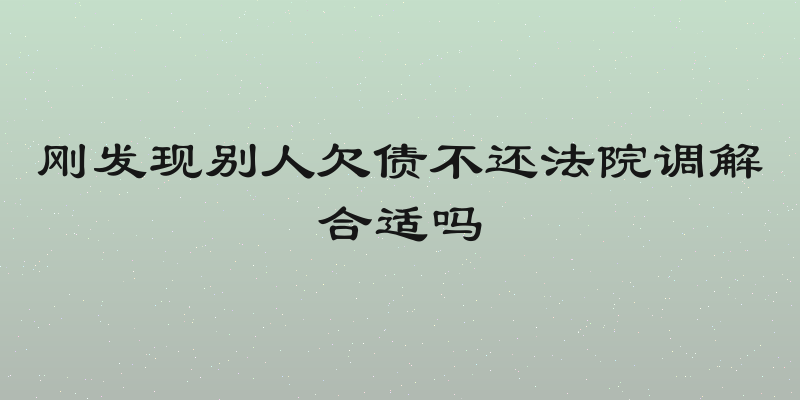 刚发现别人欠债不还法院调解合适吗