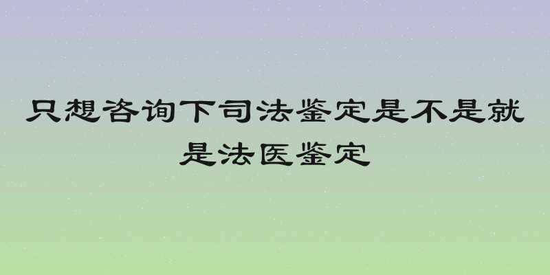 只想咨询下司法鉴定是不是就是法医鉴定