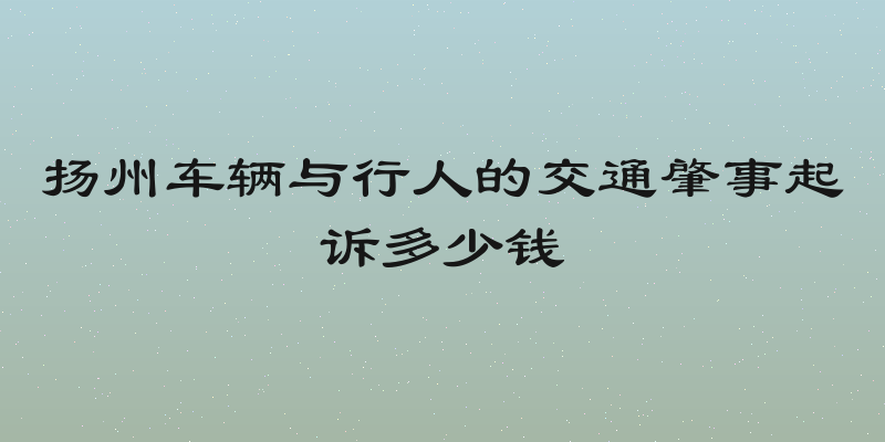 扬州车辆与行人的交通肇事起诉多少钱