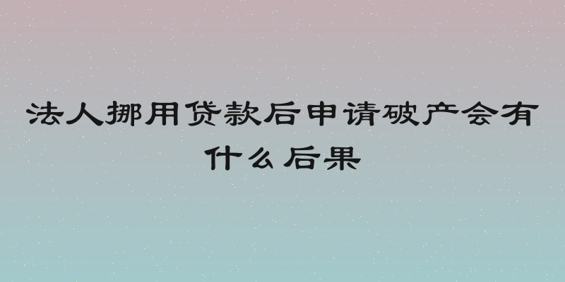 法人挪用贷款后申请破产会有什么后果