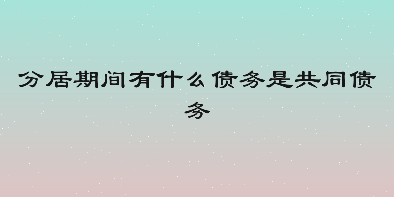 分居期间有什么债务是共同债务