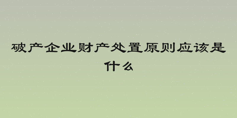 破产企业财产处置原则应该是什么