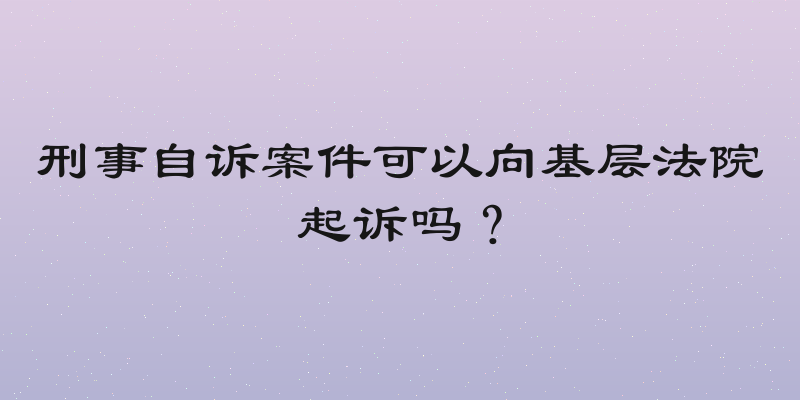 刑事自诉案件可以向基层法院起诉吗？