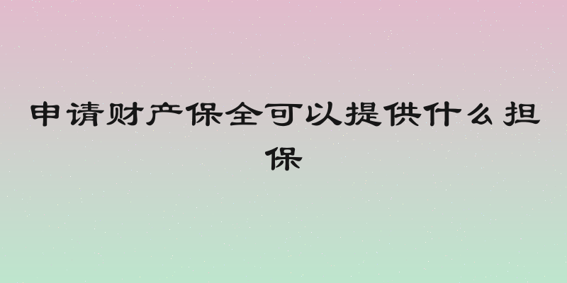 申请财产保全可以提供什么担保