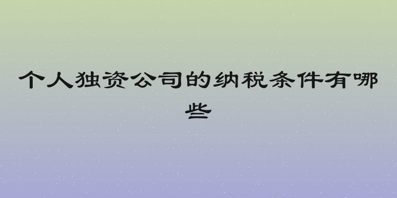 个人独资公司的纳税条件有哪些