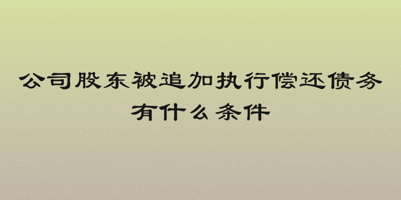 公司股东被追加执行偿还债务有什么条件