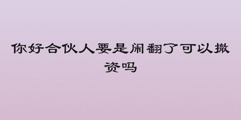 你好合伙人要是闹翻了可以撤资吗