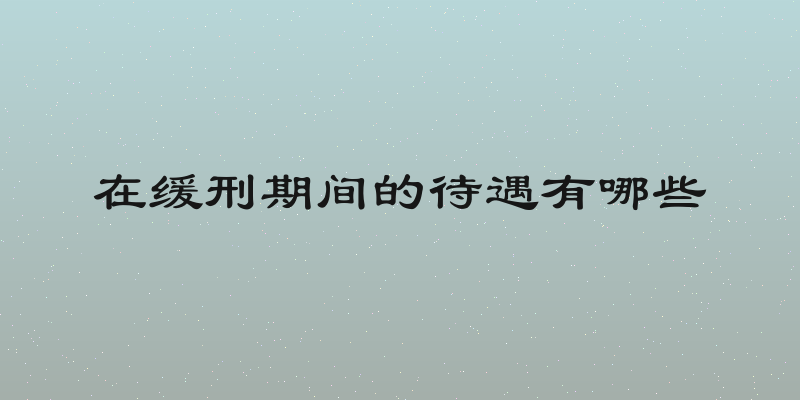 在缓刑期间的待遇有哪些