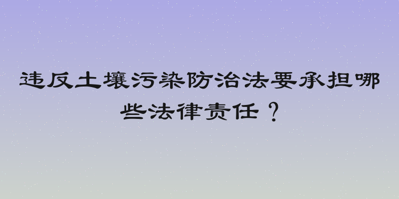 违反土壤污染防治法要承担哪些法律责任？