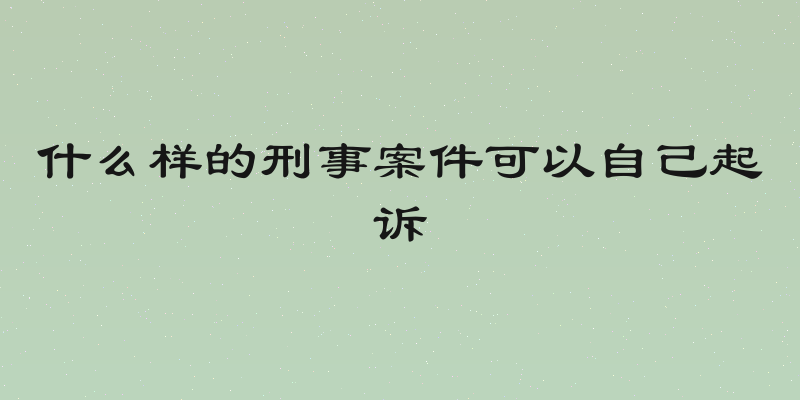 什么样的刑事案件可以自己起诉