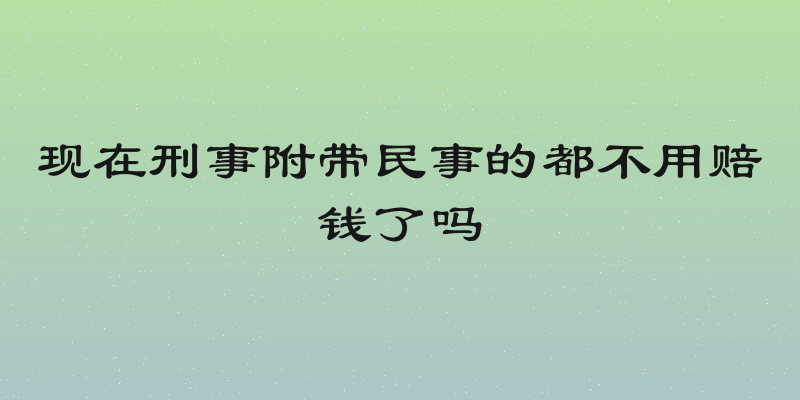 现在刑事附带民事的都不用赔钱了吗