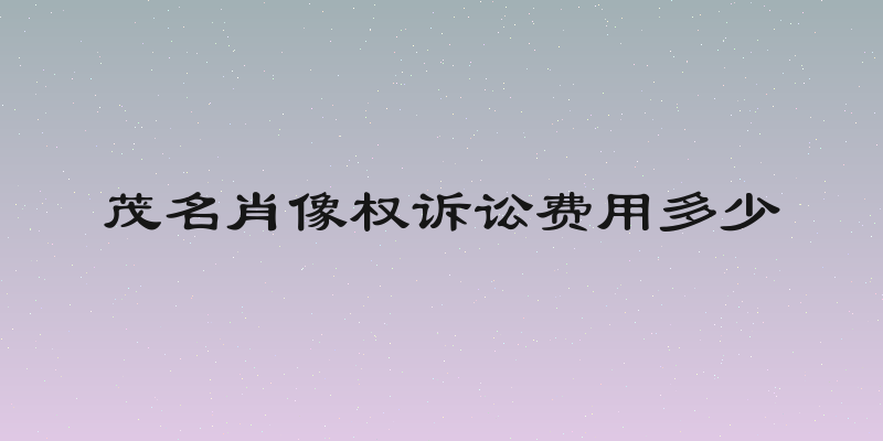 茂名肖像权诉讼费用多少