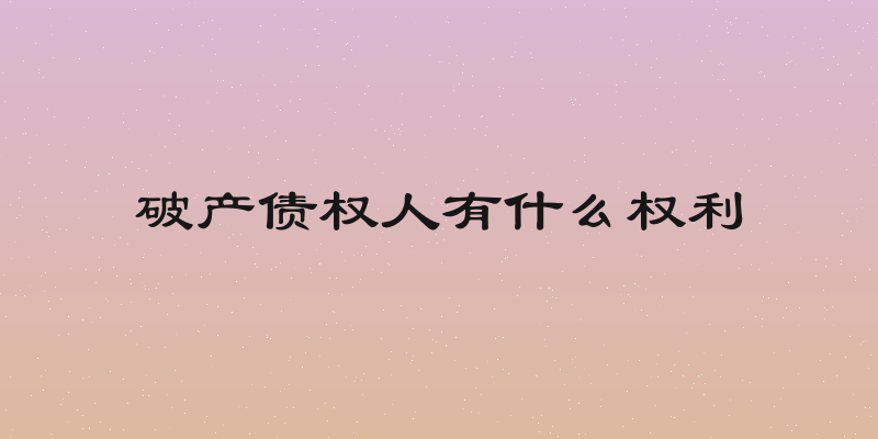 破产债权人有什么权利