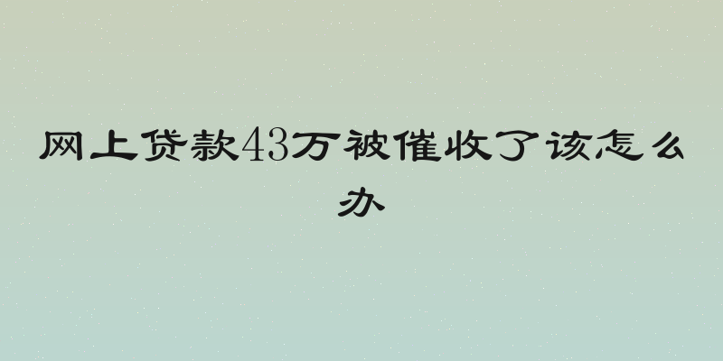 网上贷款43万被催收了该怎么办