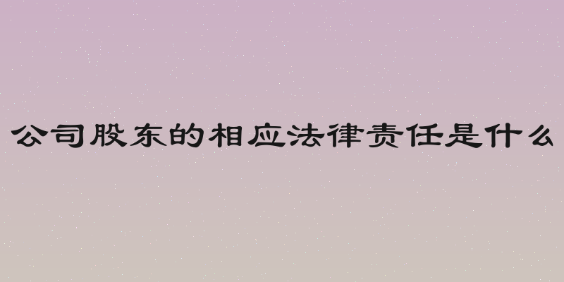 公司股东的相应法律责任是什么