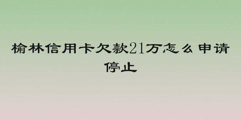 榆林信用卡欠款21万怎么申请停止