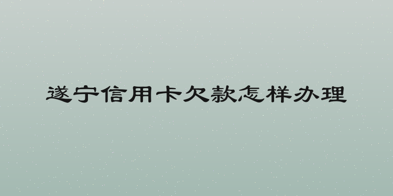 遂宁信用卡欠款怎样办理