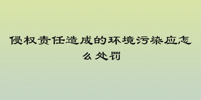 侵权责任造成的环境污染应怎么处罚