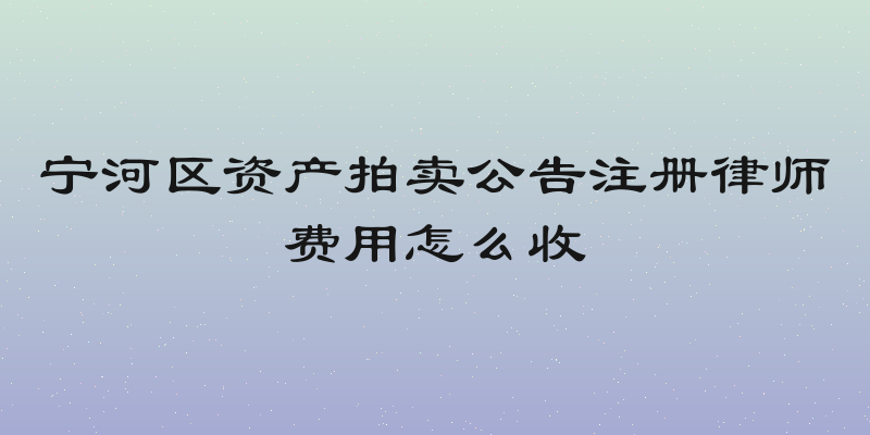 宁河区资产拍卖公告注册律师费用怎么收