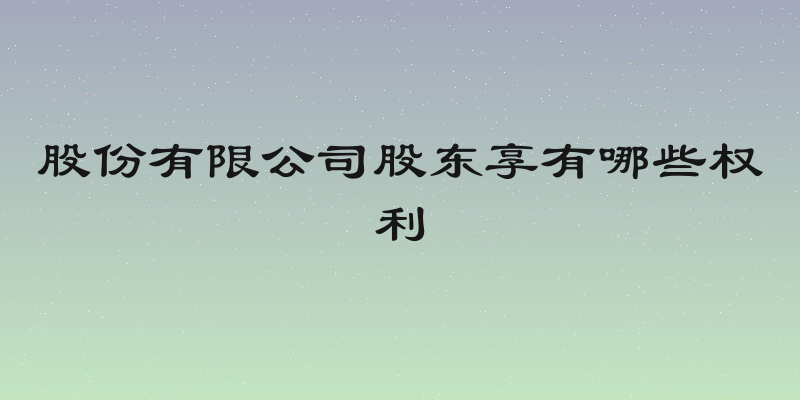 股份有限公司股东享有哪些权利