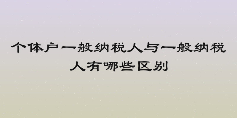 个体户一般纳税人与一般纳税人有哪些区别