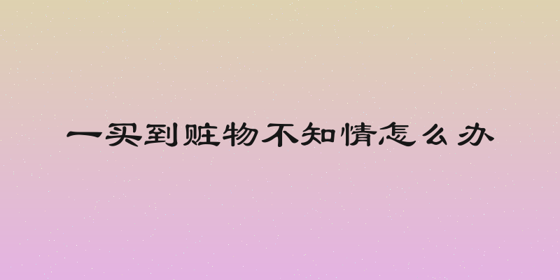 一买到赃物不知情怎么办