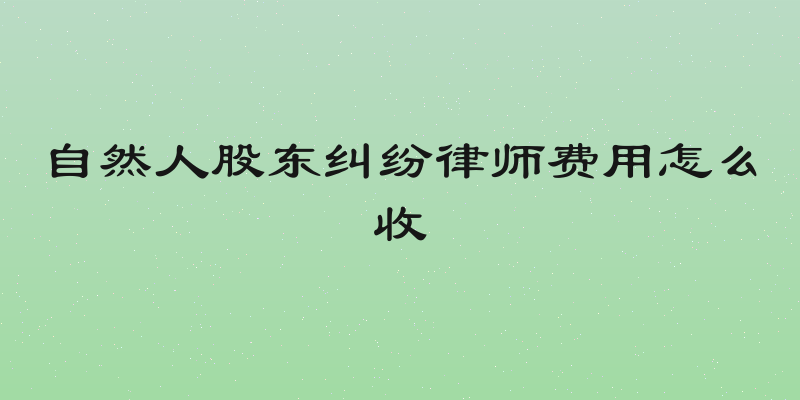 自然人股东纠纷律师费用怎么收
